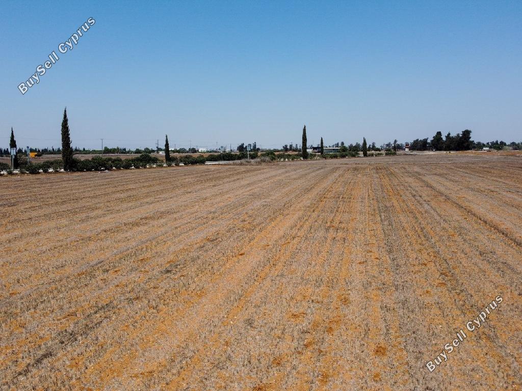 land for sale xylotymvou larnaca 7513094 image 9379957