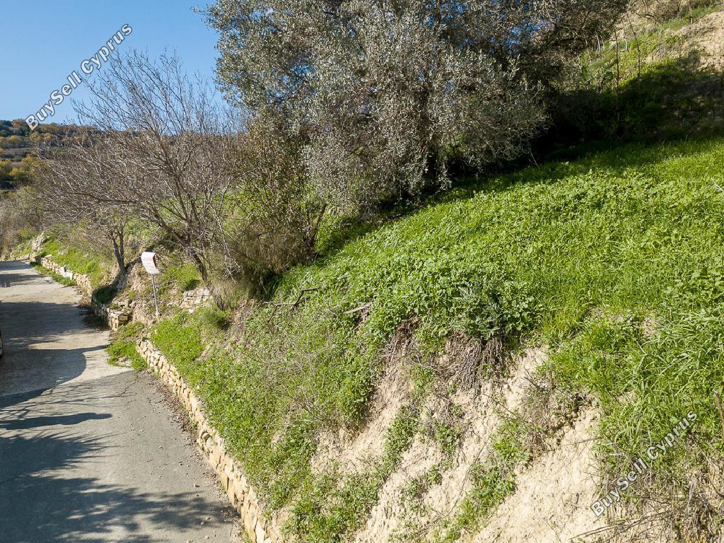 land for sale kallepeia paphos 823194 image 16009608