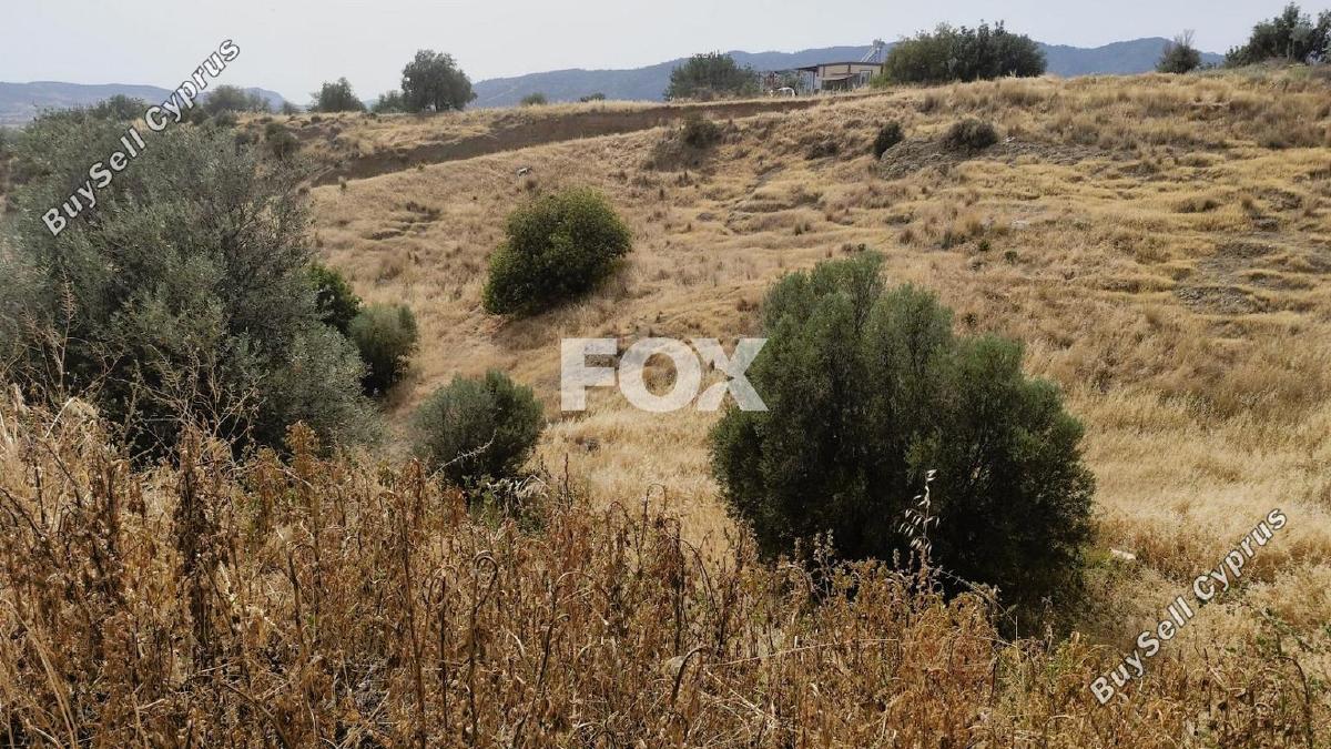 land for sale parekklisia limassol 1185194 image 9337270