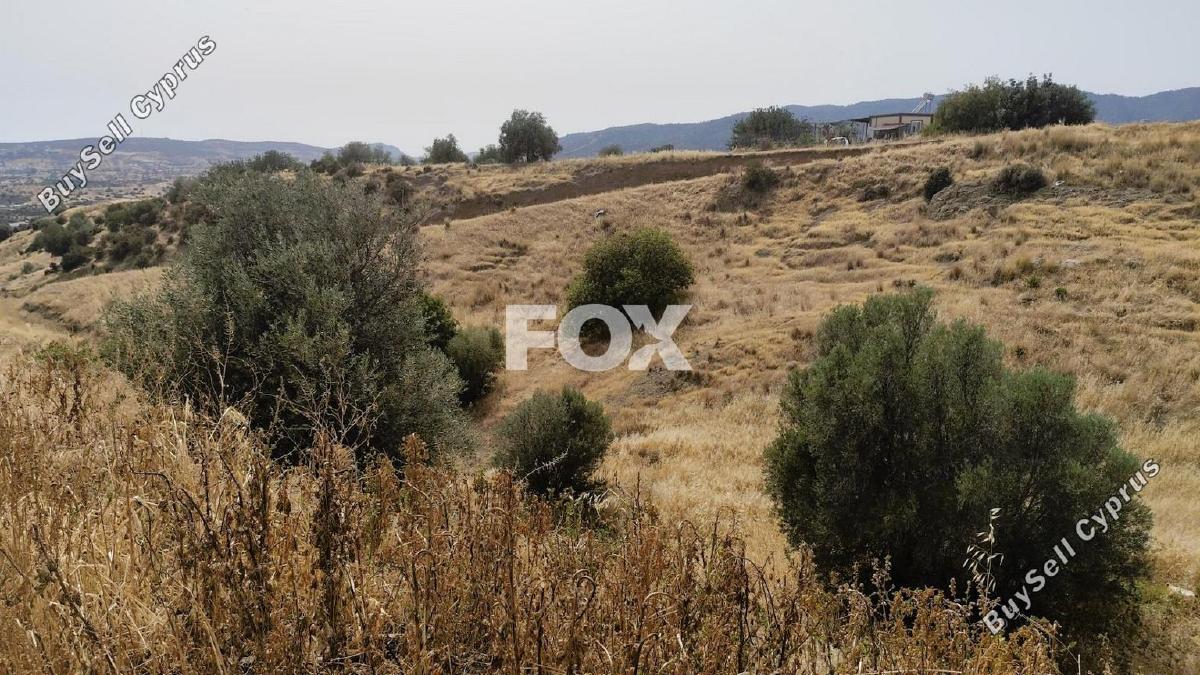 land for sale parekklisia limassol 1185194 image 9337272