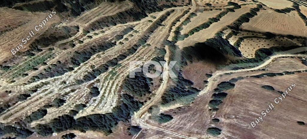 land for sale amargeti paphos 1506294 image 5630235