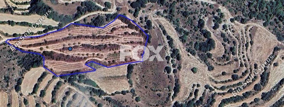land for sale amargeti paphos 1506294 image 5630238