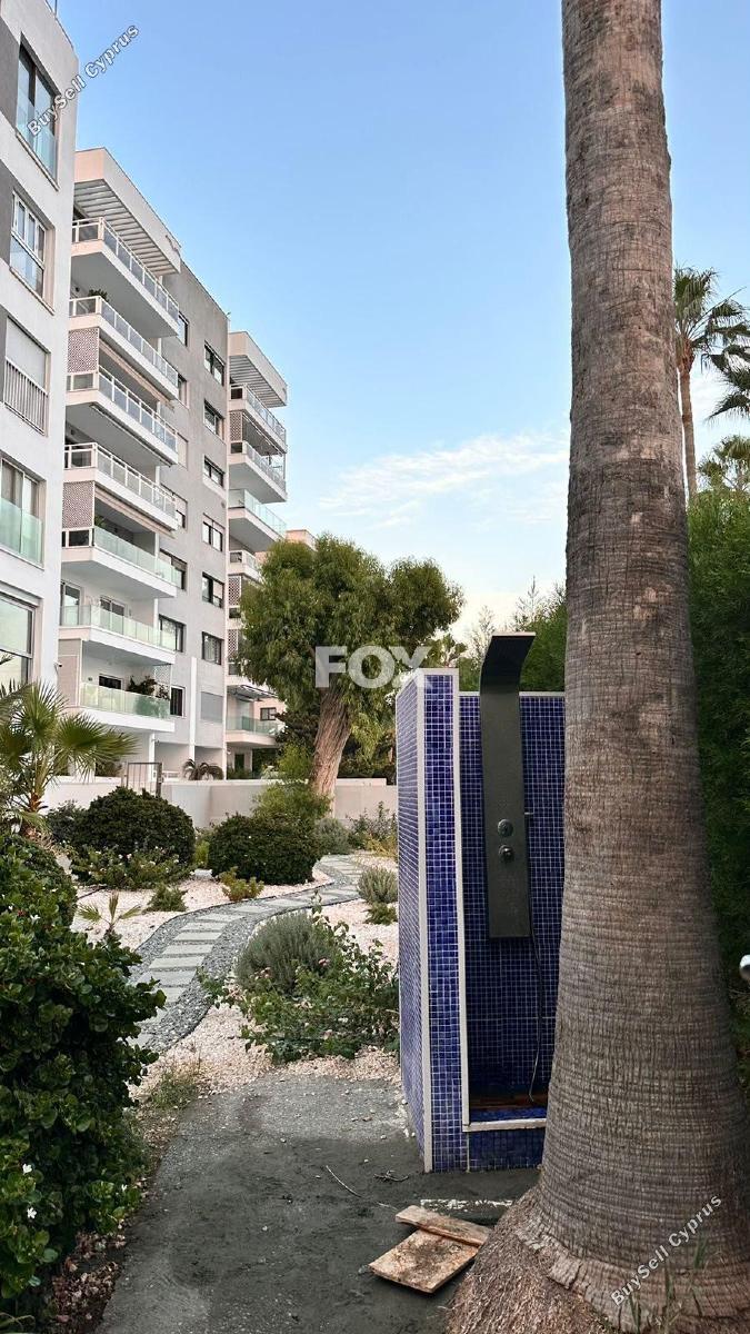 2 bedroom apartment for rent mesa gitonia limassol 1652394 image 14494613