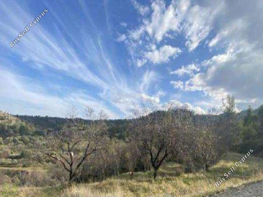12375 SQM Land for sale in Xyliatos, Nicosia 4079887