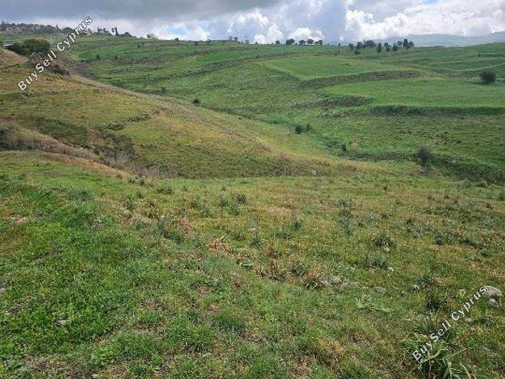 land for sale drynia paphos 7839394 image 15596753
