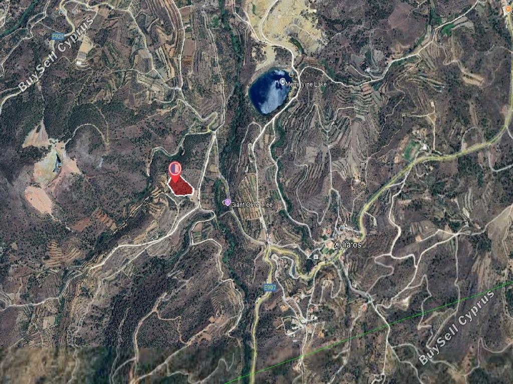 land for sale xyliatos nicosia 1614394 image 4079885