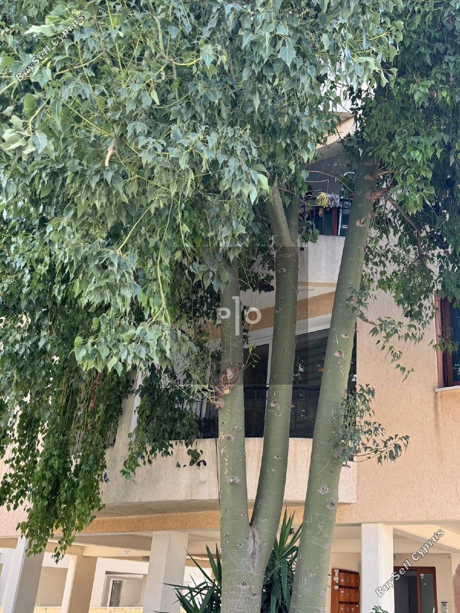 2 bedroom apartment for sale latsia nicosia 8317494 image 15196705