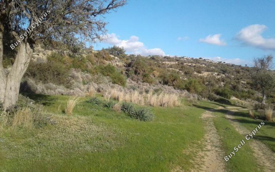 land for sale avdimou limassol 7739494 image 17552655