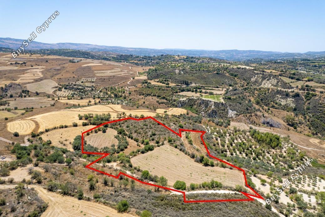 land for sale drynia paphos 941494 image 15869230
