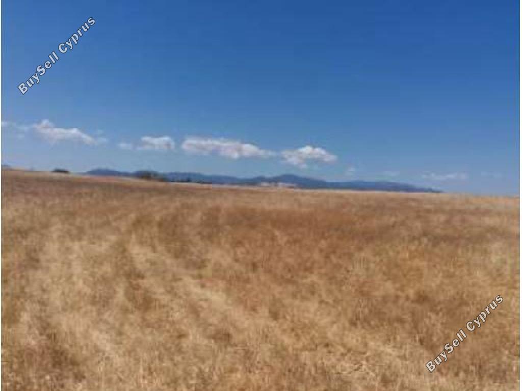 land for sale palaiometocho nicosia 1158494 image 2991011