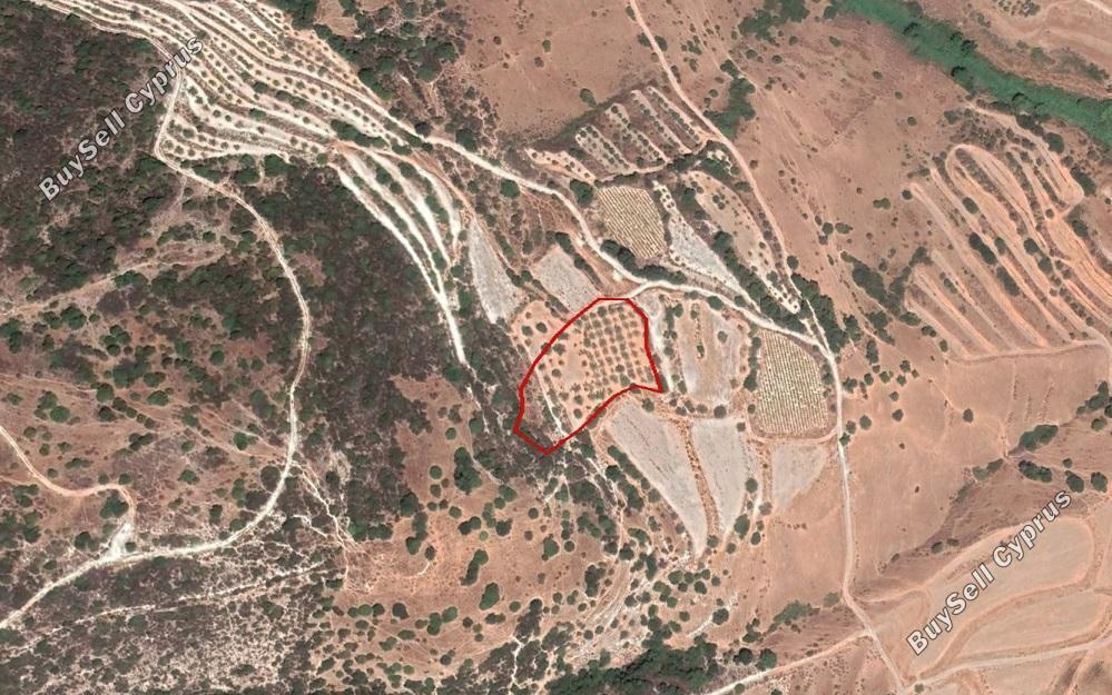 land for sale kallepeia paphos 906594 image 2808284