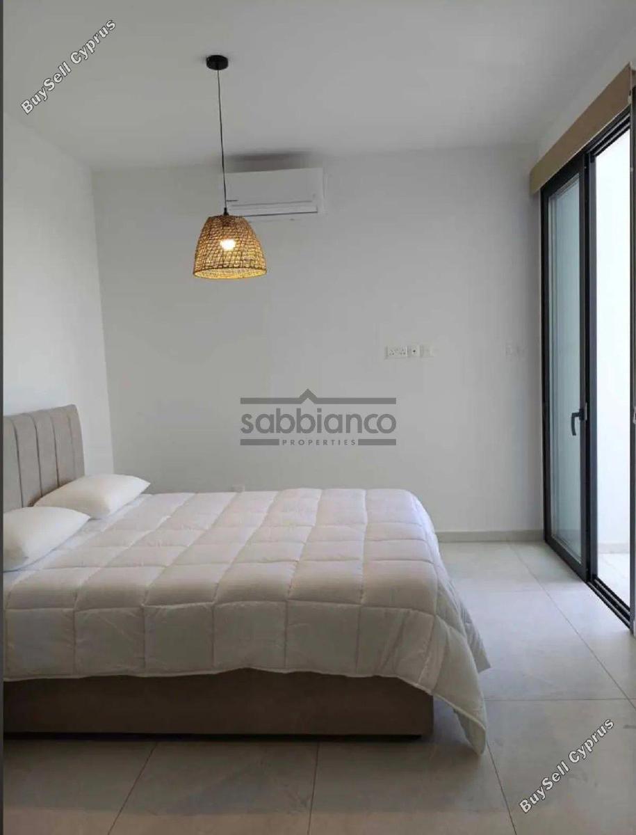 2 bedroom apartment for rent livadia larnacas larnaca 8741694 image 16395462