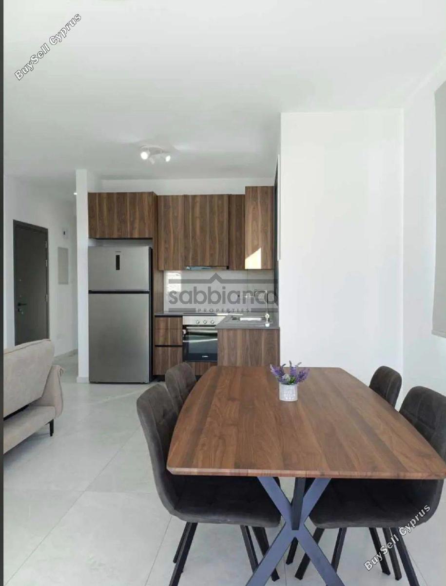 2 bedroom apartment for rent livadia larnacas larnaca 8741694 image 16395474