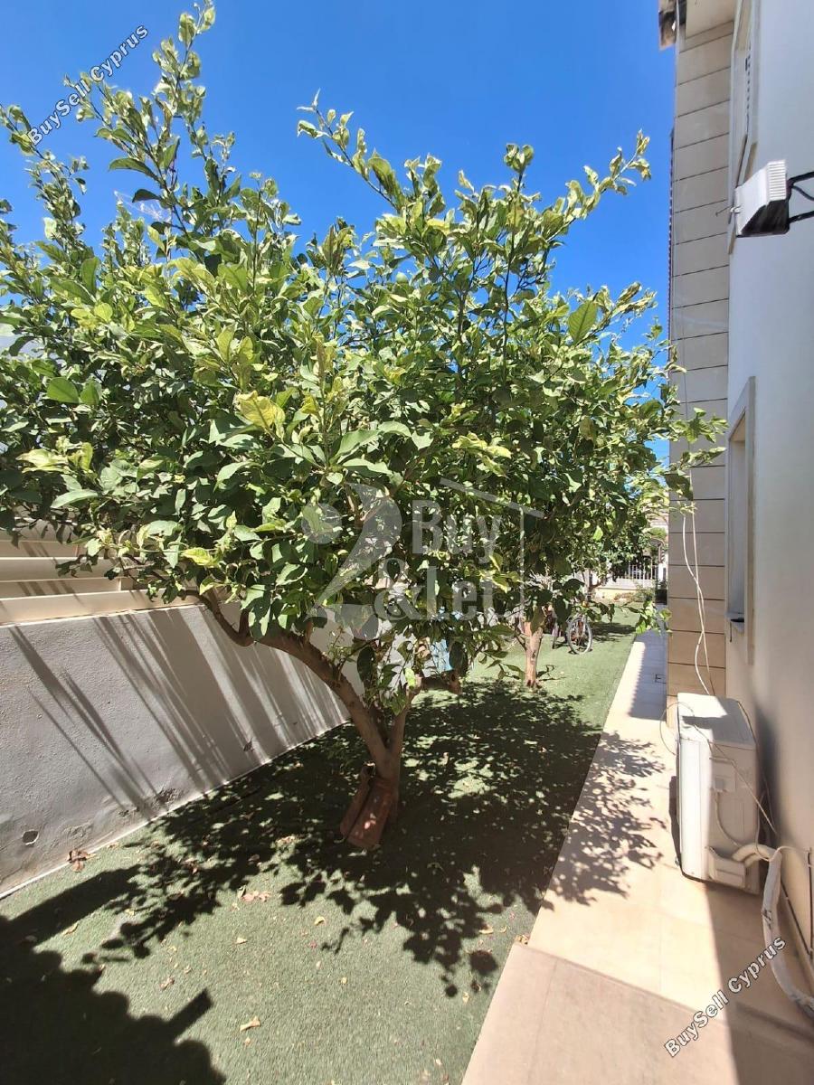 3 bedroom detached house for rent faneromeni larnaca 8903694 image 17394302
