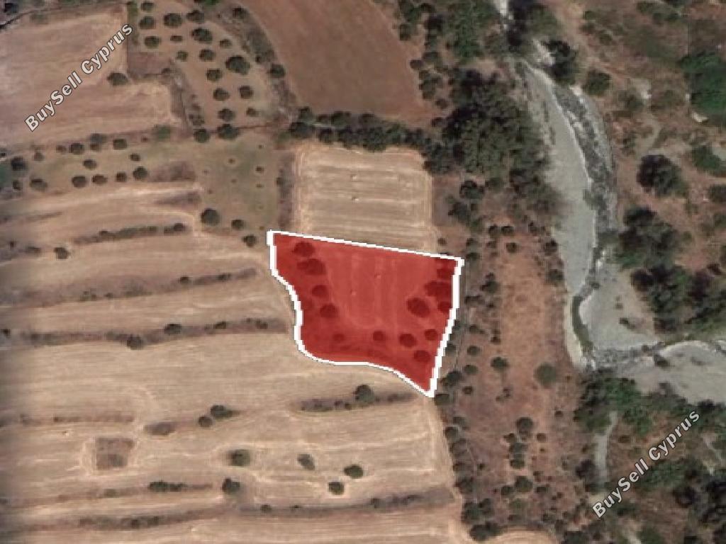 land for sale orounta nicosia 945694 image 15600791