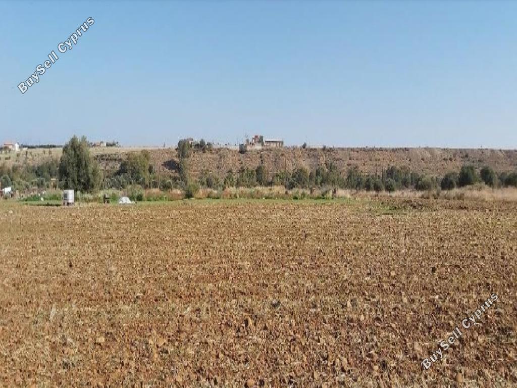 land for sale orounta nicosia 945694 image 15600792