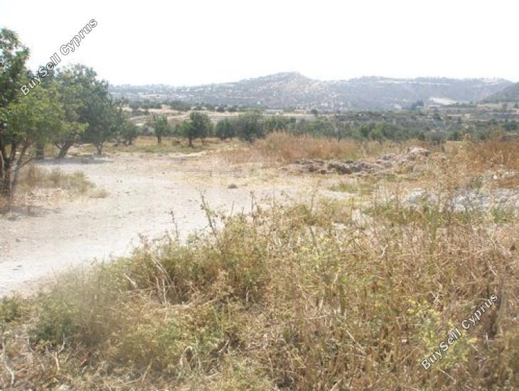 land for sale skarinou larnaca 7870694 image 11378966