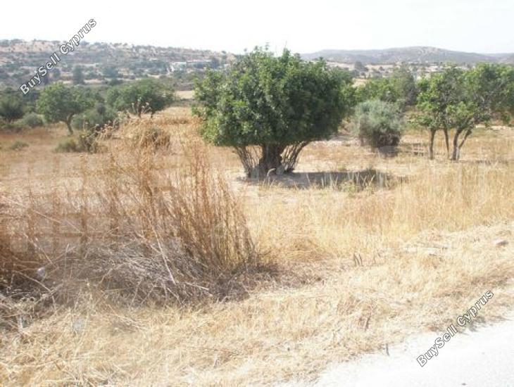land for sale skarinou larnaca 7870694 image 11378968