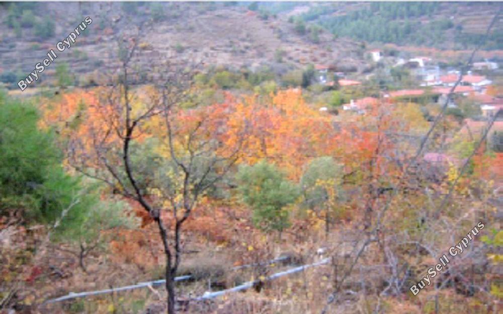 land for sale tsakistra nicosia 829694 image 6572146