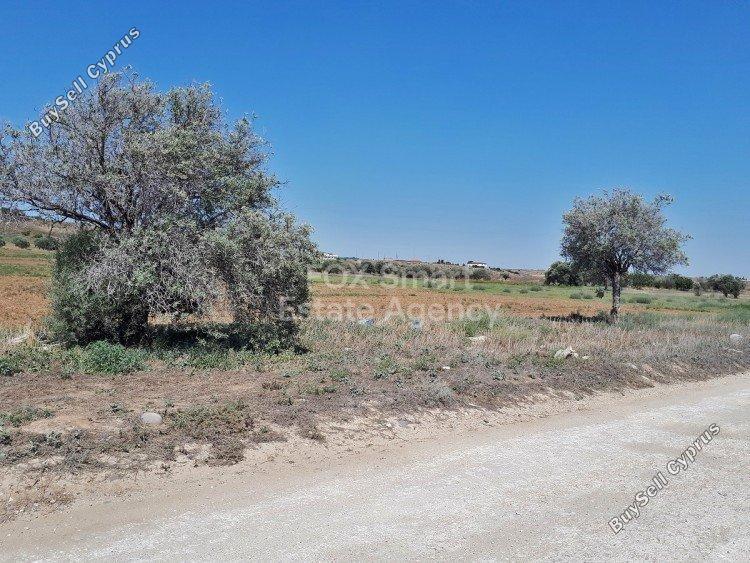 land for sale agioi trimithias nicosia 1152794 image 5161747