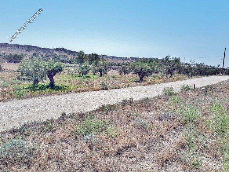 land for sale agioi trimithias nicosia 1152794 image 5161749