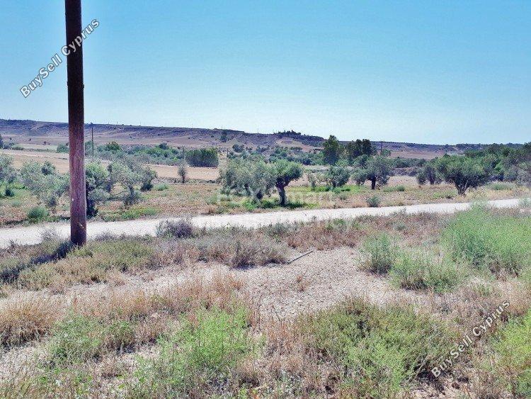 land for sale agioi trimithias nicosia 1152794 image 5161750