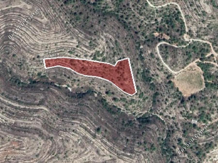 land for sale lofou limassol 8630794 image 15874130