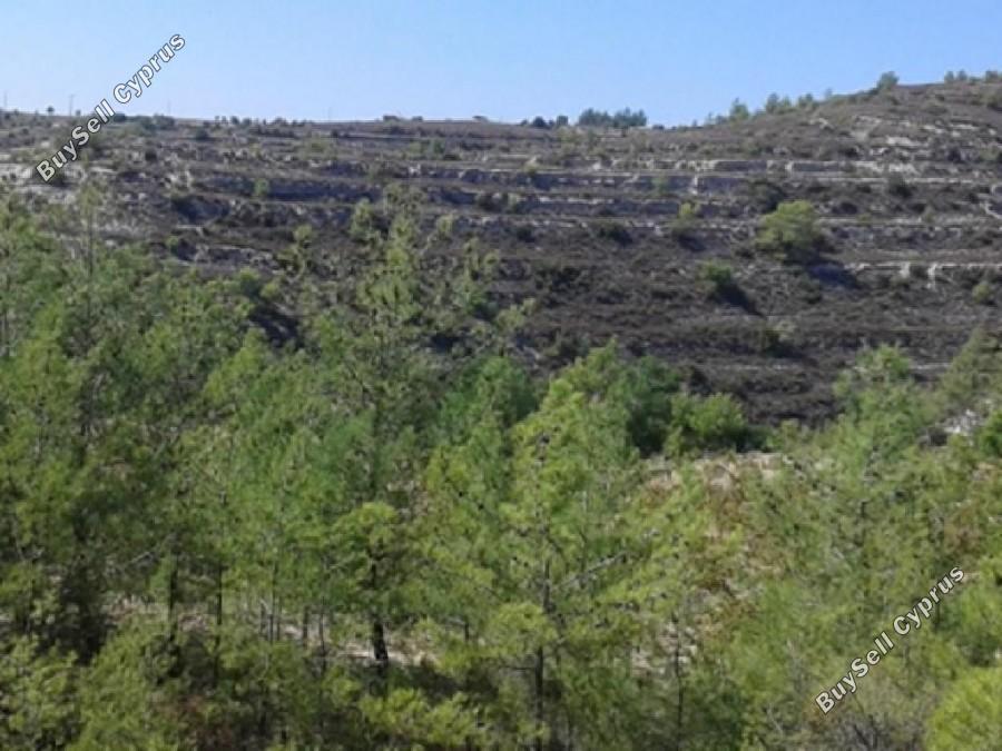 land for sale lofou limassol 8630794 image 15874132