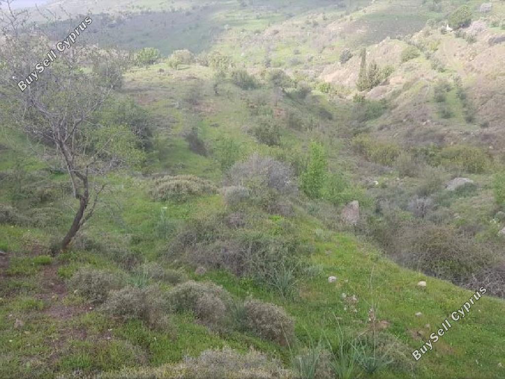 land for sale pentalia paphos 945794 image 15867202