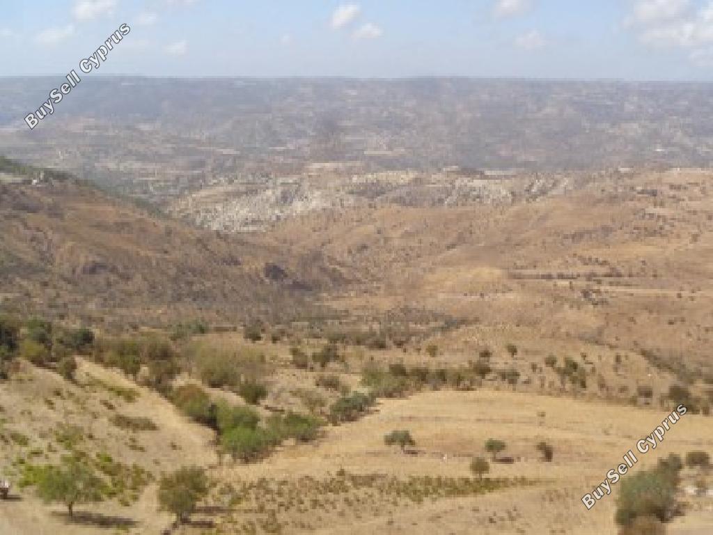 land for sale pentalia paphos 945794 image 17102883