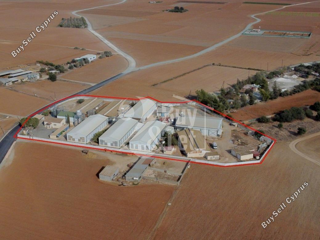 plot off market xylotymvou larnaca 1444794 image 9683987