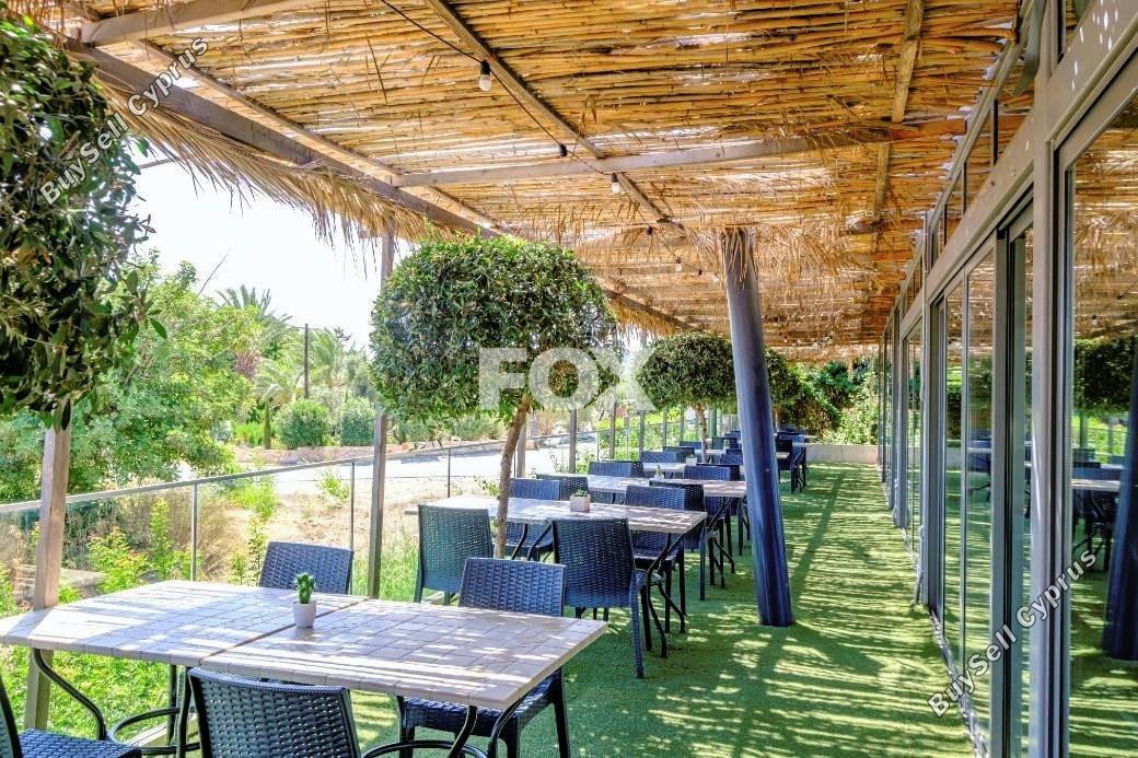 studio apartment for sale latsi paphos 1475794 image 15181966