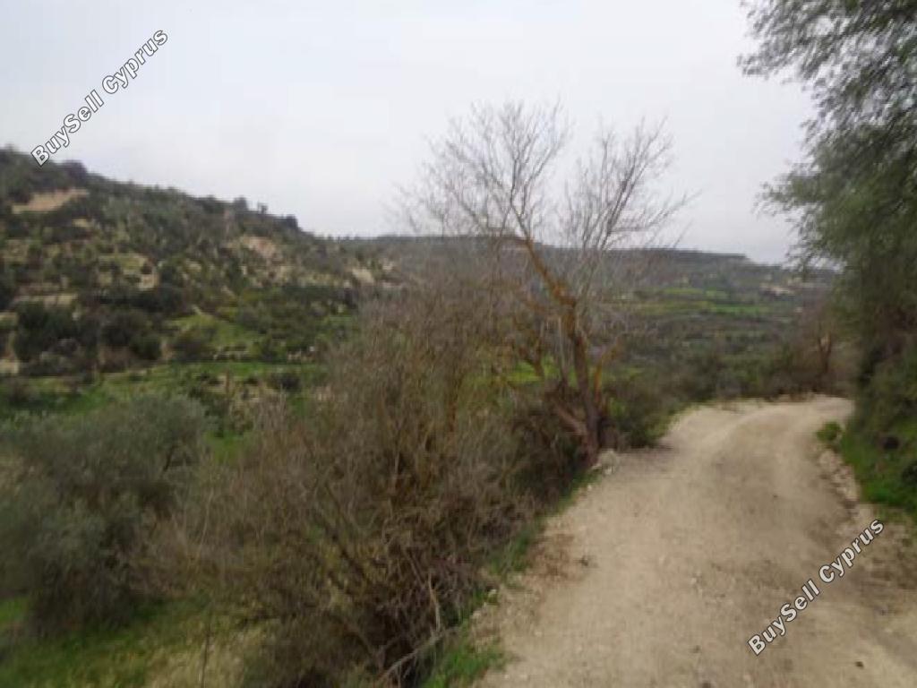 10034 SQM Land for sale in Kallepeia, Paphos 15598250