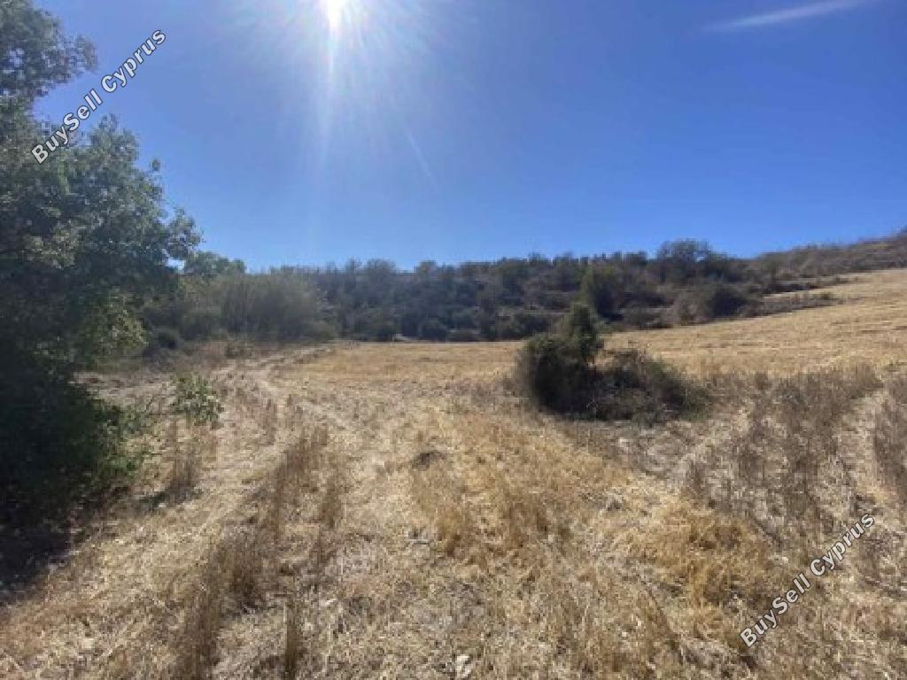 land for sale drimou paphos 1517894 image 17396929