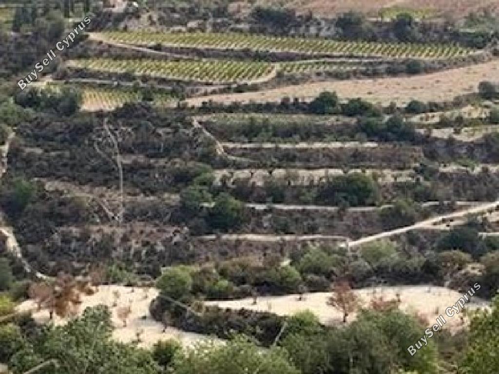 land for sale kallepeia paphos 1563894 image 17396933