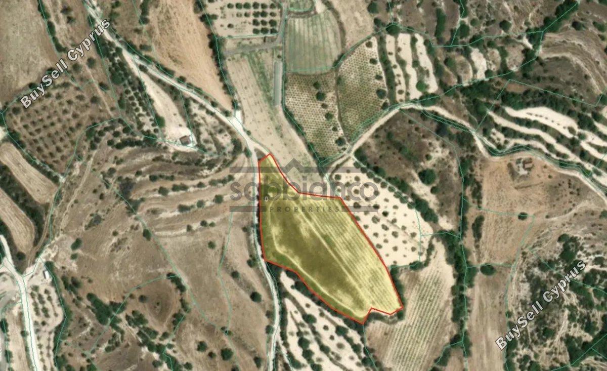 land for sale kallepeia paphos 8736894 image 16351225