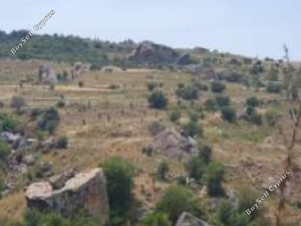 land for sale drousia paphos 7740994 image 15596466