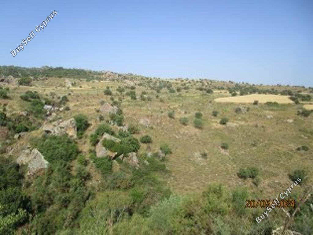 land for sale drousia paphos 7740994 image 17601105