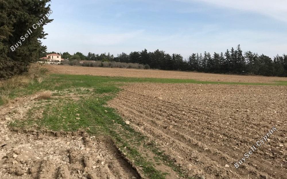 land for sale meneou larnaca 830994 image 1056953