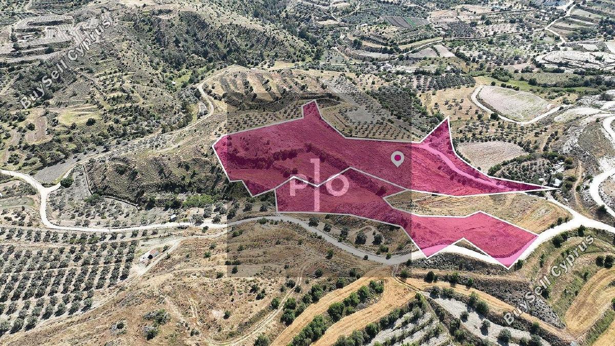 land for sale pera orinis nicosia 8275005 image 15156803