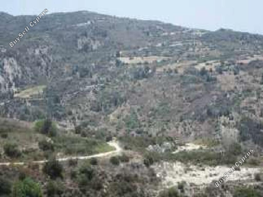 land for sale peyia paphos 8665005 image 17011252