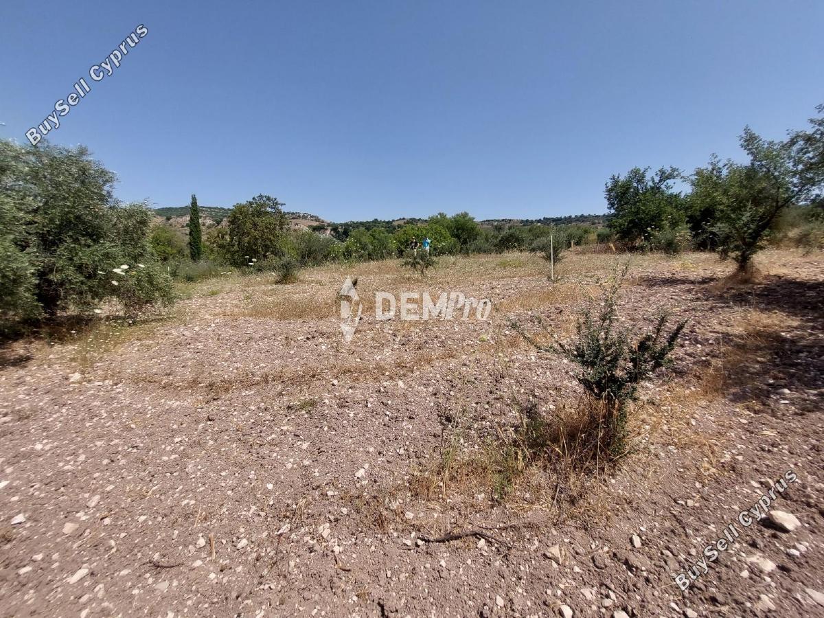 7020 SQM Land for sale in Agios Dimitrianos, Paphos 12703101