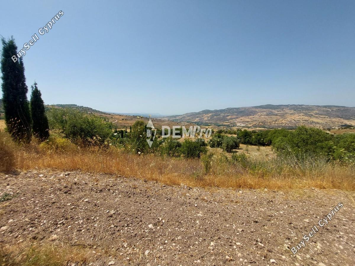 land for sale agios dimitrianos paphos 7813105 image 12703079