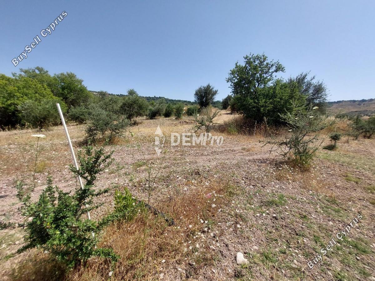 land for sale agios dimitrianos paphos 7813105 image 12703095