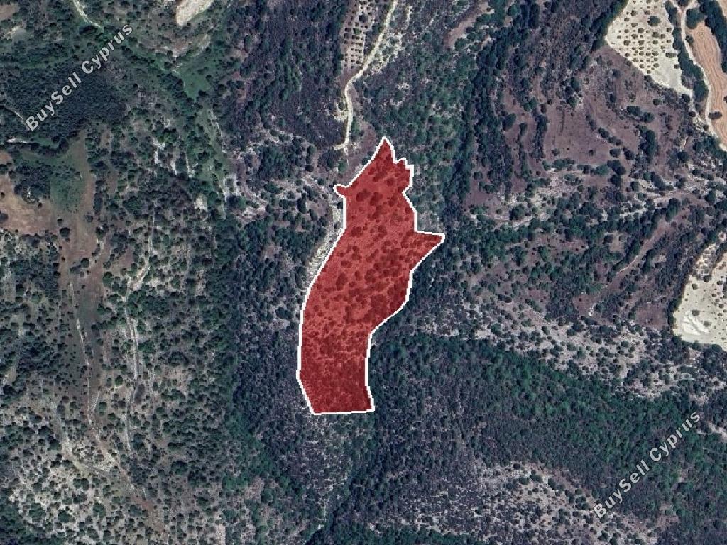 land for sale amargeti paphos 1279105 image 15599870