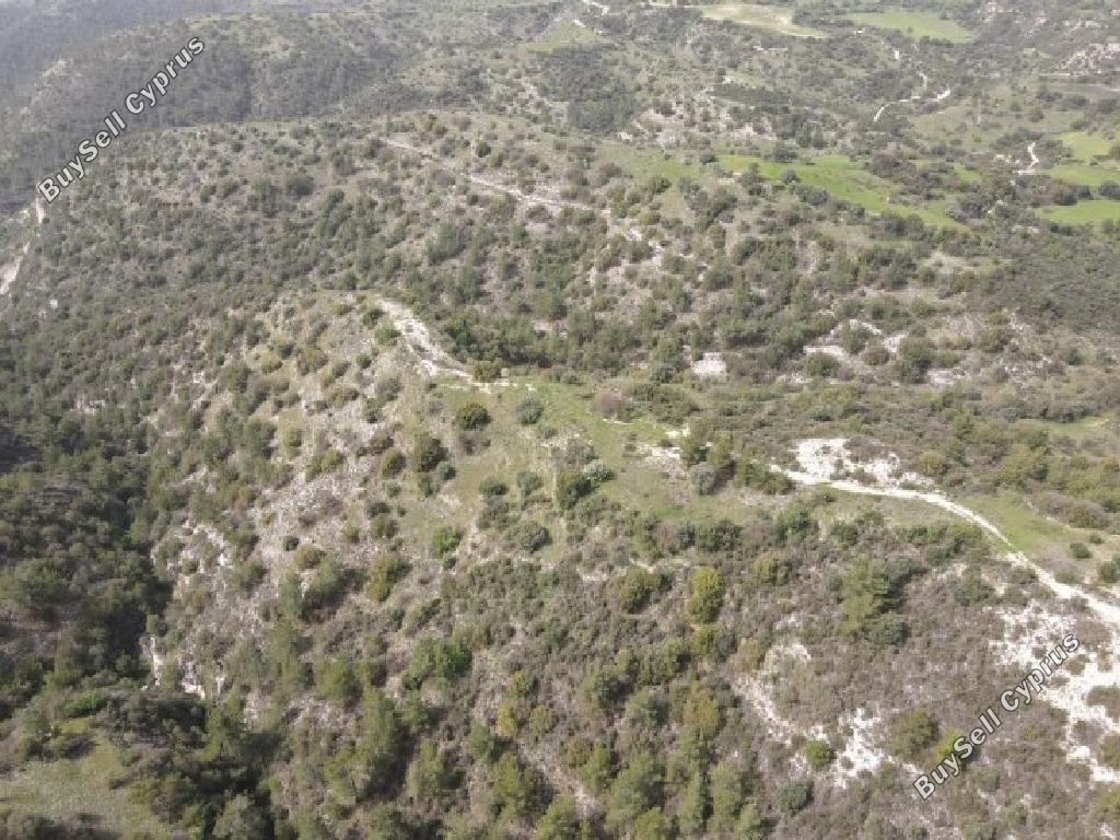 land for sale amargeti paphos 1279105 image 15599871