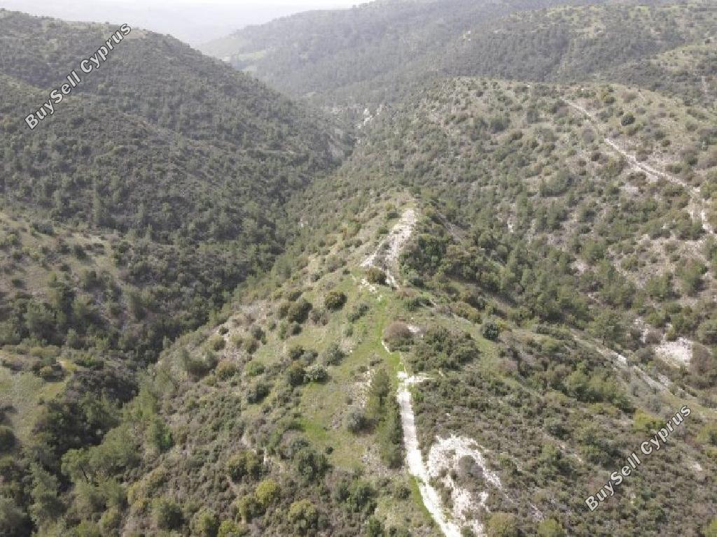 land for sale amargeti paphos 1279105 image 15599872