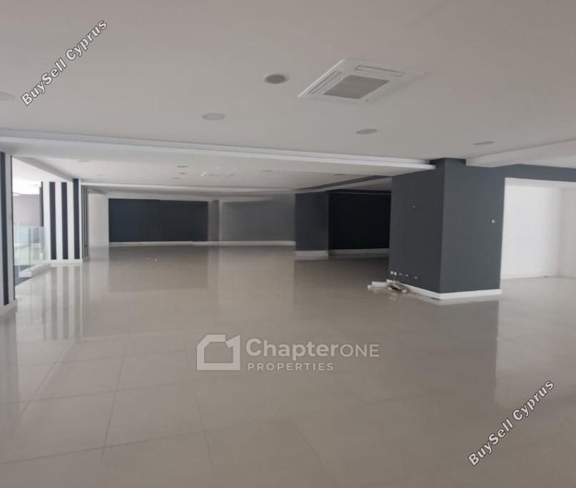 studio office for rent parissinos nicosia 8346105 image 14738549