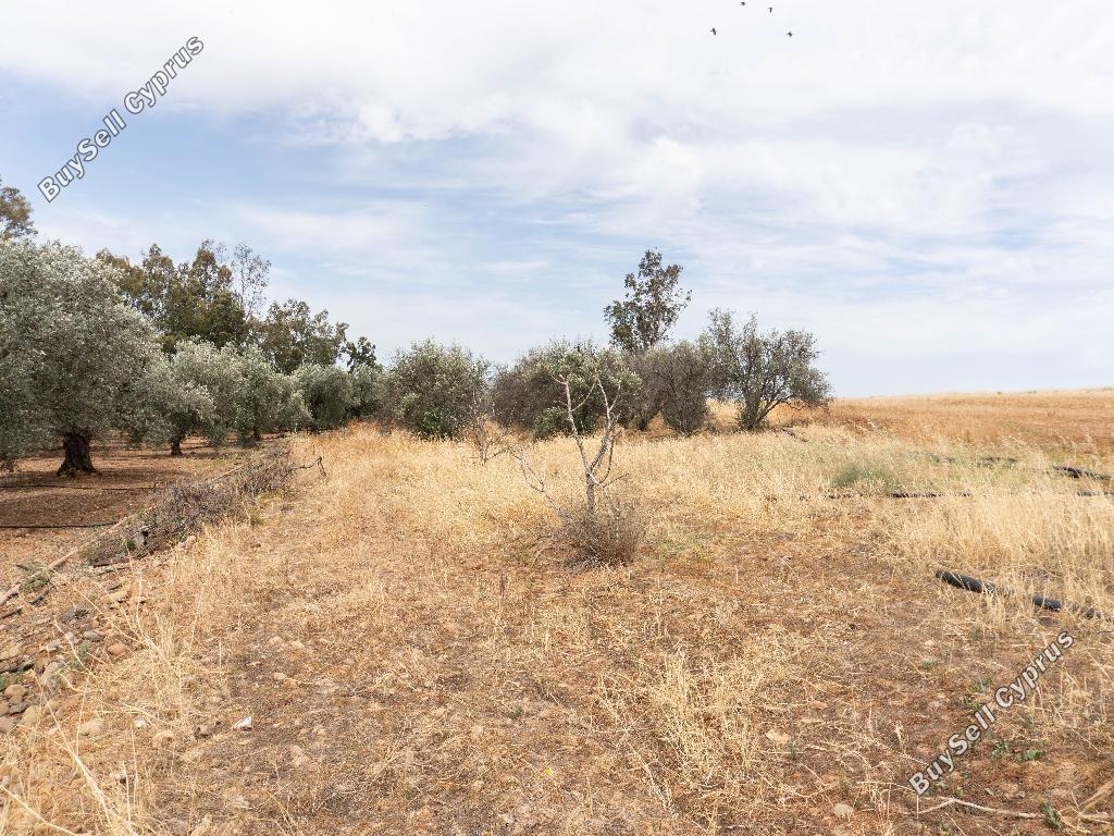 land for sale astromeritis nicosia 8645205 image 15931492