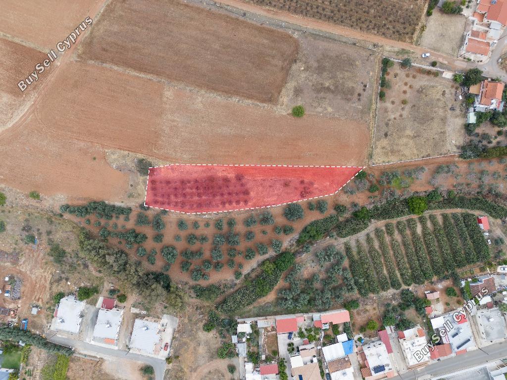 land for sale astromeritis nicosia 8645205 image 15931496